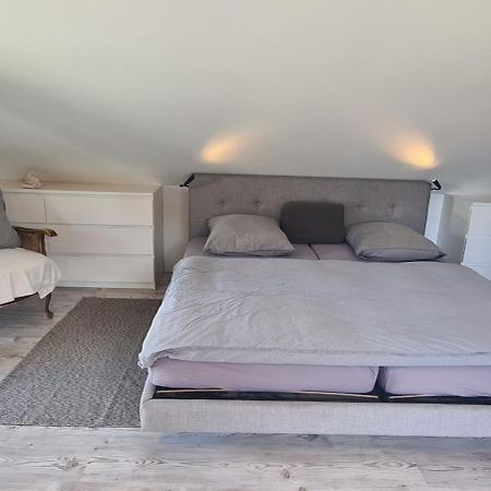 Piti'S Gaestehaus, Kehl Neben Strasbourg Esterno foto